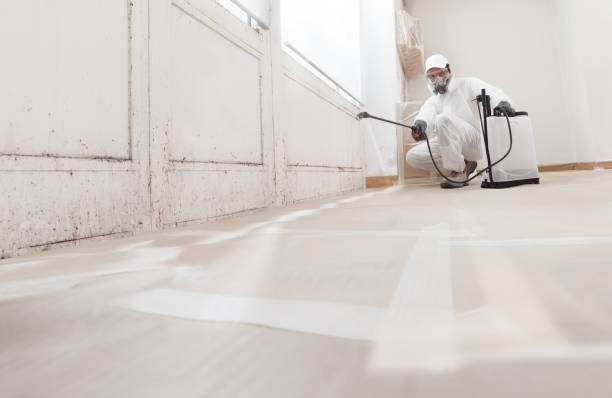 24/7 Emergency Mold Removal experts in Maple Shade, NJ